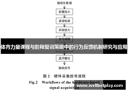 体育力量课程与阶段复训策略中的行为反馈机制研究与应用