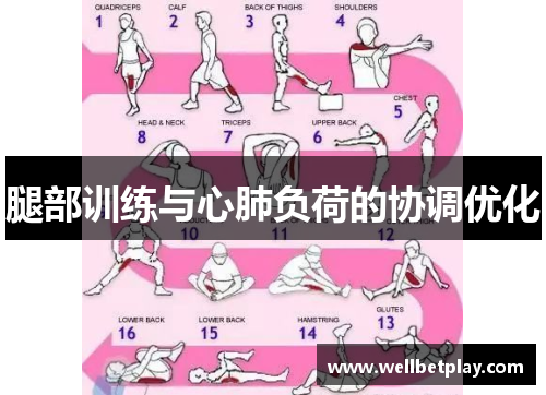 腿部训练与心肺负荷的协调优化
